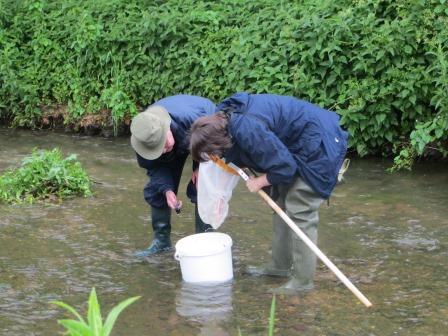 Riverfly training day
